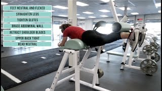 Reverse Hyper | KILO Exercise Demo