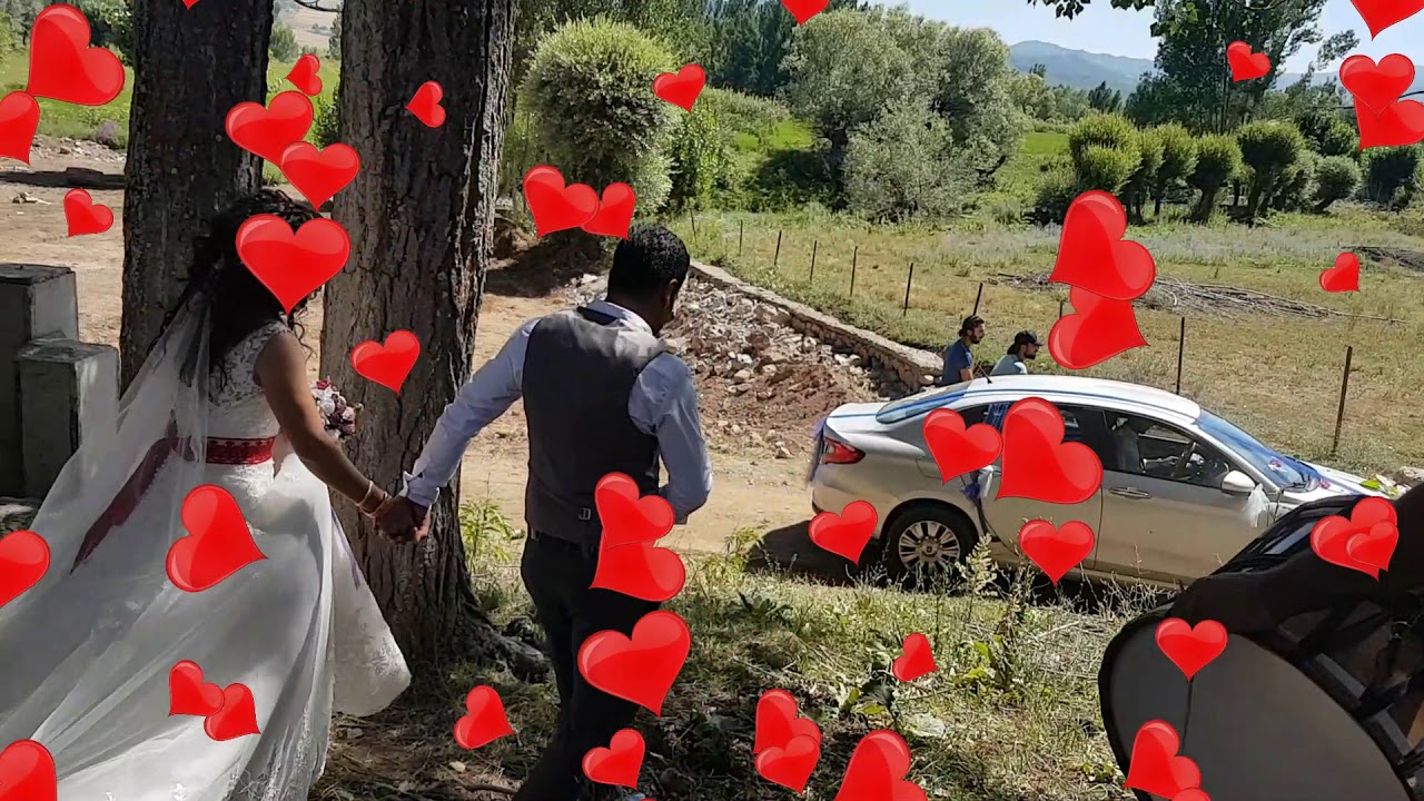 Tunceli Ovacıkta Köy düğünü -Elma atma anı - 3..gün tam hız devam.