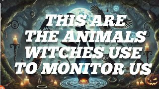 ANIMALS WITCHES USE TO MONITOR US 