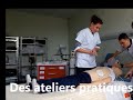 Vidéo IFSI Cholet