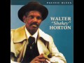Capture de la vidéo Big Walter Horton Walter Shakey Horton Live 1999