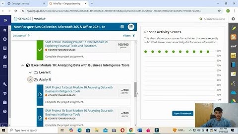 Excel Module 10 Sam Project a Lighting Designs