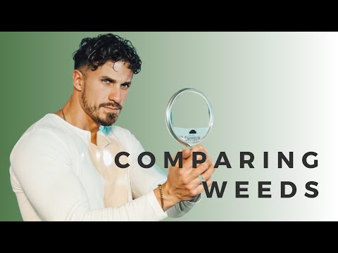 "Comparing Weeds" | Pulling Weeds | Pastor Bobby Chandler