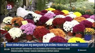 SAPLING PLANTING HAS STARTED: SELECTING THE RIGHT SEEDLING FOR WINTER GARDENS IS IMPORTANT