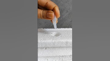 Science experiment with Fevicol#scienceexperiment #viral #fevicol #fun