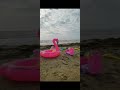 فلوق رحلتنا من خميس مشيط الى بحر الشقيق فلوق رحلتنا من خميس مشيط الى بحر الشقيق