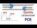 Mastering Polymerase Chain Reaction Techniques in Molecular Biology