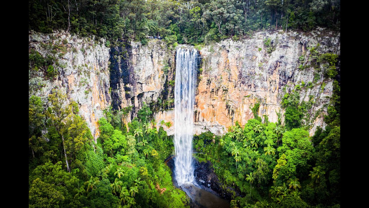 Purling Brook Falls Walk, Springbrook, Lamington National Park,  Queensland
