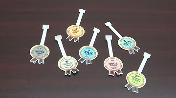 CG-AR Series Cutting Plotter. How to make a Swing Pop!