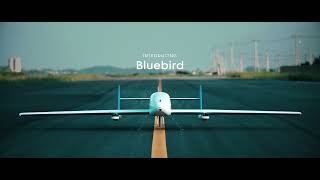 [PABLO AIR] BlueBird : PABLO AIR-developed e-VTOL
