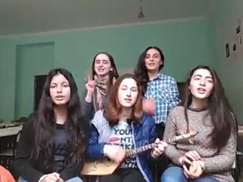 ქრიზანტემები