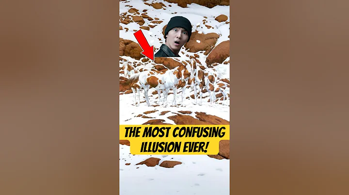 The Most Confusing Illusion Ever!🐴 #opticalillusion