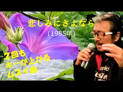 「悲しみにさよなら」 字幕付きカバー 1985年 松井五郎作詞 玉置浩二作曲 安全地帯 若林ケン 昭和歌謡シアター ～たまに平成の歌～