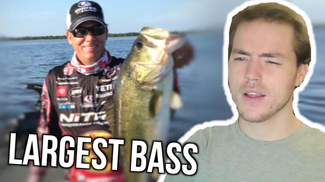 Fish Biologist reacts to CHAMPIONSHIP Fishing YouTube