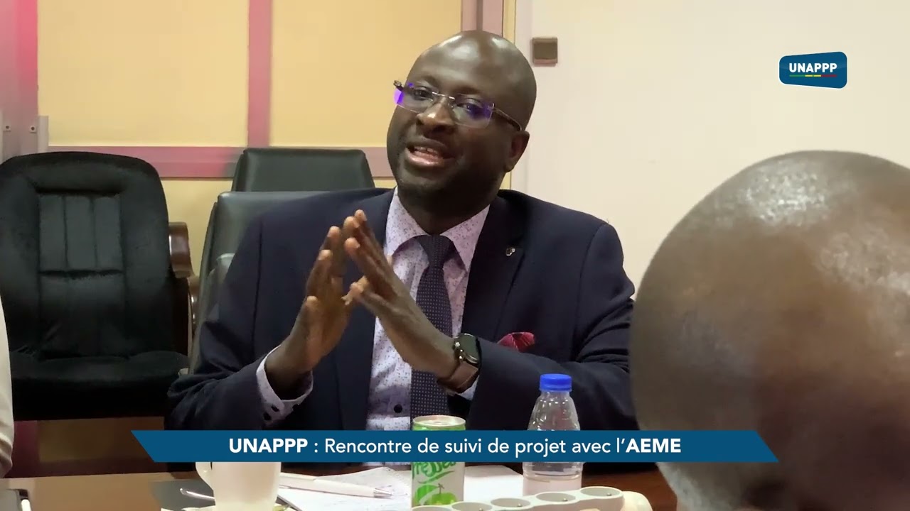 Suivi de Projets à l'Agence pour l’Economie et la Maîtrise de l’Energie (AEME)  UNAPPP