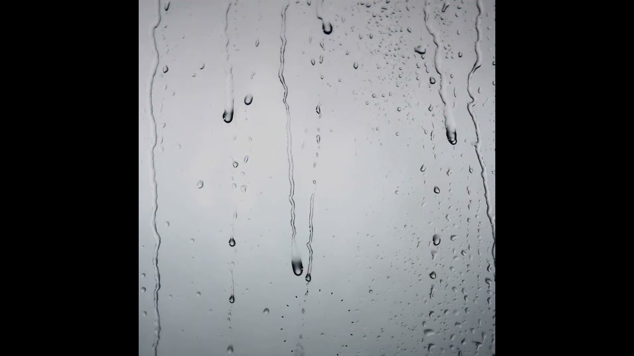 Top Non-Toxic Salon Hair Products 