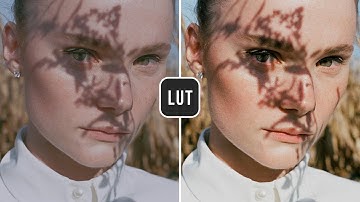 Fast Film FREE Lookup Table (LUT) - Before & After