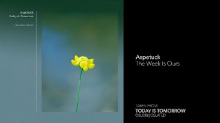 Indefinite Pitch PREMIERES. Aspetuck - The Week Is Ours [Oslated]
