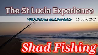 Shad Season St Lucia Estuary - 26 June 2021 - Petrus and Pardette Fishing St Lucia Beaches.