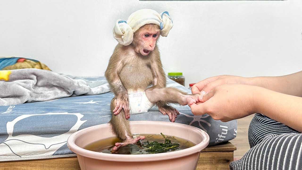 Lala had a relaxing evening and received special care from Mom!