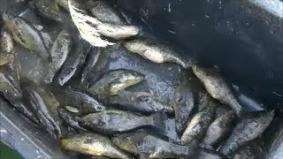 Открытие сезона рыбалки. Рыбалка с фитилями (ятерями, вентерями и т.д)