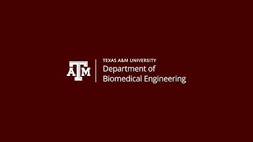 The Department of Biomedical Engineering