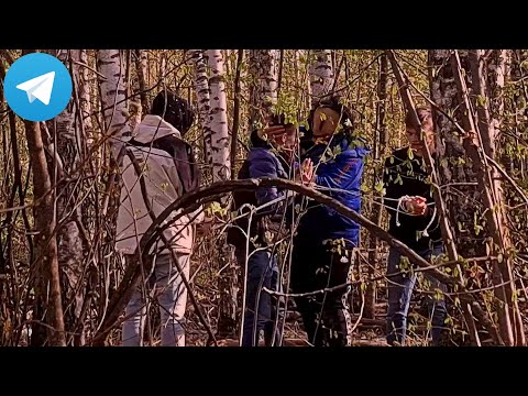 МОМЕНТ ИЗ ТЕЛЕГРАМА МАКСА ВАЩЕНКО! МАНЬЯК УБИЛ ДРУГА У КИРИЛЛА!