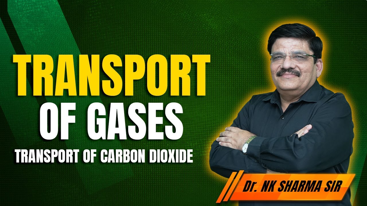 Transport of Gases | Transport of Carbon Dioxide Explained by NK Sharma ...