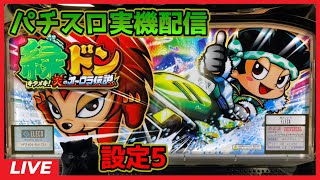 【パチスロ実機配信】緑ドン～キラメキ!炎のオーロラ伝説～【設定5】