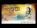 Chailpadosanlegairemanisha sainirajsthanisong dj remix  ravi varma 