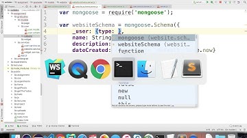 5.11 defining mongoose schemas for website definition in a MEAN app - graduate webdev summer 1 2017