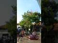 ide creative videos sedang membawa bawang merah #creative #fotoediting #videoediting