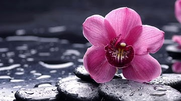 تلاوة رائع وجميل سورة النمل للقارئ المجهول