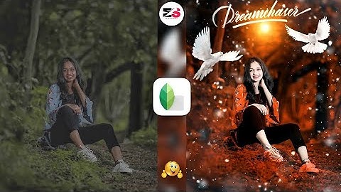 Snapseed Orange And Bird Effect Photo Editing Tricks | Snapseed Background Colour Change