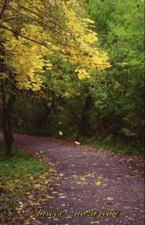 AUTUMN 🍂 秋 GIF.IMAGE =My Simple Pleasure =