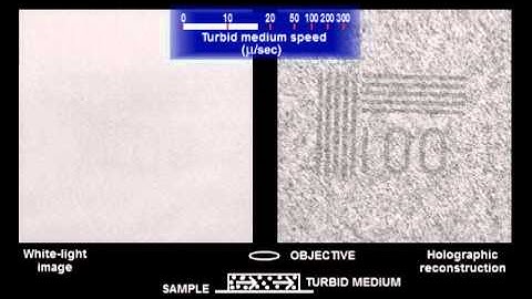 Microscopy imaging in turbid microfluidic channels by digital holography