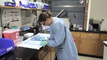 Cancer Research & Clinical Trials at Sutter Health CPMC