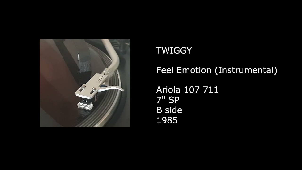 TWIGGY - Feel Emotion (Instrumental) - 1985