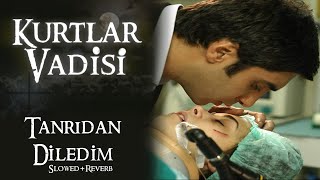 Kurtlar Vadisi - Tanrıdan Diledim (Slowed Reverb) | HD