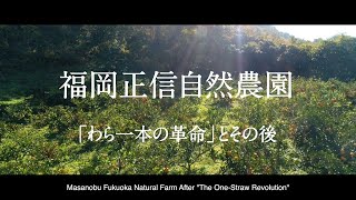 「わら一本の革命」とその後　福岡正信自然農園  After The One Straw Revolution 　　Masanobu Fukuoka Natural Farm