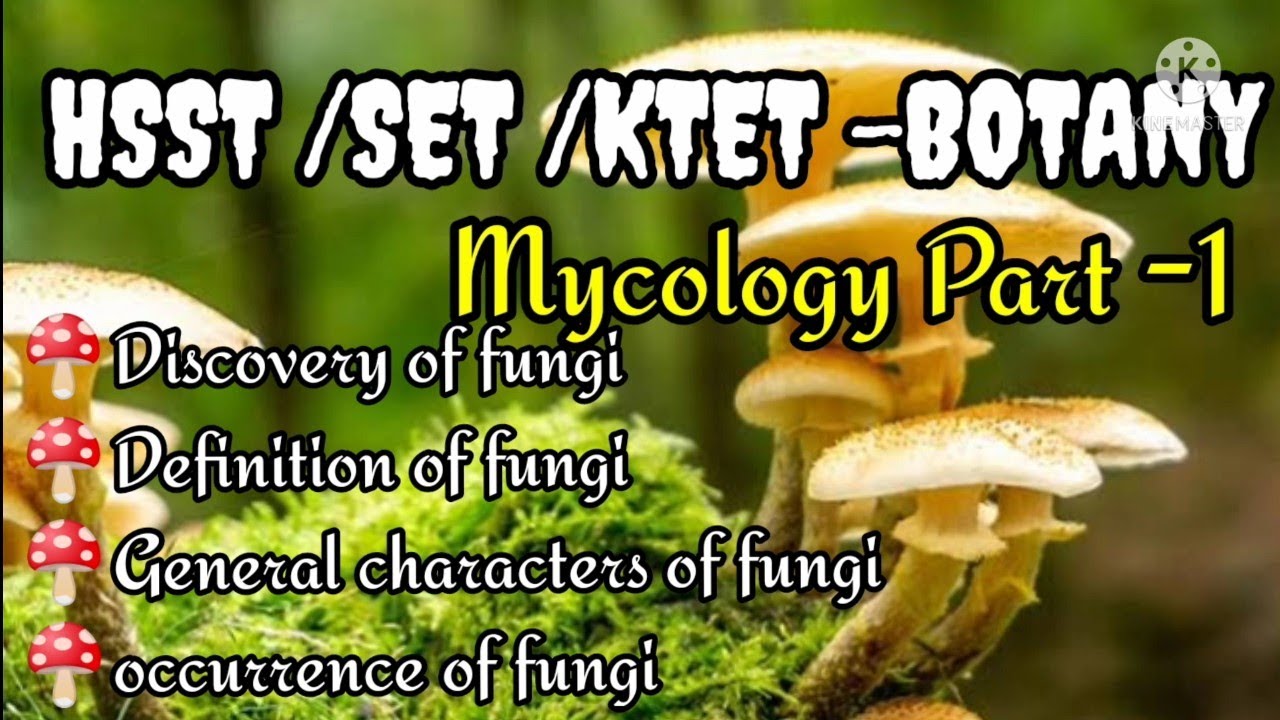 HSST/SET/BOTANY ( Fungi ) - YouTube