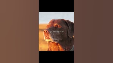 Why is scripting so hard?🙏😭 #roblox #robloxstudio #robloxmemes #robloxedit #memes #gaming #discord