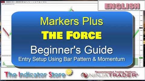 Markers Plus Beginners Guide