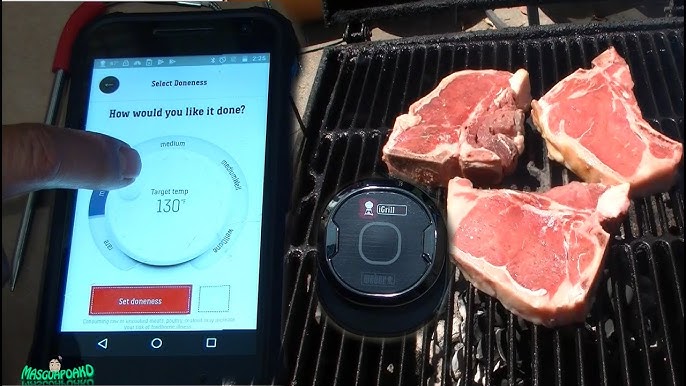 Weber iGrill 2 Bluetooth Connected Thermometer, 1 ct - Kroger