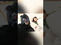 sourab joshi prank on avantika💀...