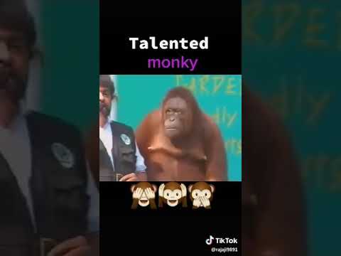 أقوى-فيديو-مضحكfunny-video,،😅🤣😍😭😭😭😭😭😭😭😭🤣🤣بليز-اشتراك.-بالقناة🤣😅🤣😁