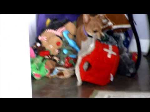 Copy of Toy Box