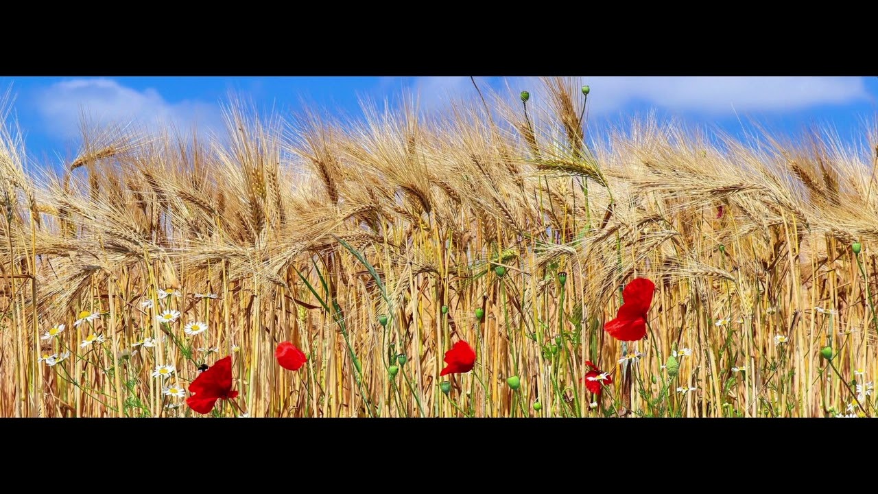 MICHEL FUGAIN ~ Une Belle Histoire {HQ 24bit V Remix/Remaster}