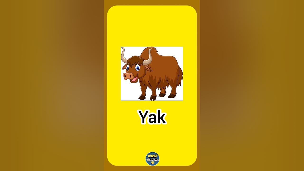 Y-Letter words with sound for Child 🧒👧Letter Start with-Y😝|Alphabet ABC Song RhymesS73 #M3Creaters Y-Letter words with sound for Child 🧒👧Letter Start with-Y😝|Alphabet ABC Song RhymesS73 #M3Creaters