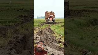 new swaraj tractor 855 fe with trolley loading #swaraj855 #swarajtractor #tractor #tractorvideo